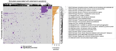 Heatmap Showing Clusters Of Functional Gene Sets Among The 710 Download Scientific Diagram