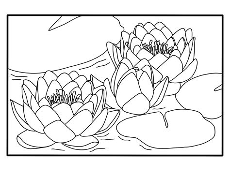 Water Lily Coloring Page Digital Download Etsy