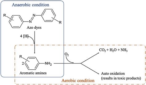 The Biodegradation Of Azo Dyes By Bacteria Under Anaerobic And Aerobic