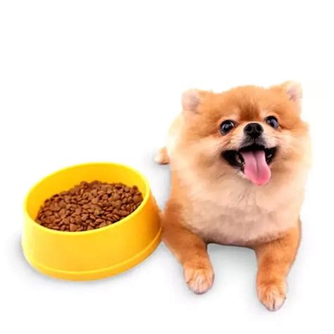 Kibble Size: Why It Matters For Small Breed Dogs | Pedigree