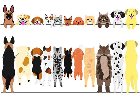 Standing Cats Front And Back Border Set Stock Vector Illustration Of