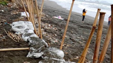 Tanggul Penahan Ombak Di Pantai Cilacap Rusak Akibat Hantaman Gelombang