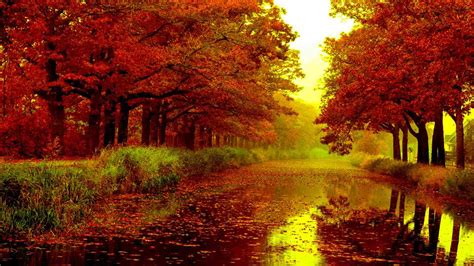 Autumn Leaves Desktop Wallpaper At Elmer Holt Blog
