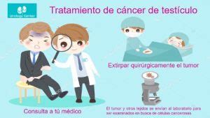 C Mo Es La Cirug A Para Tratar El C Ncer De Test Culos Urology Center