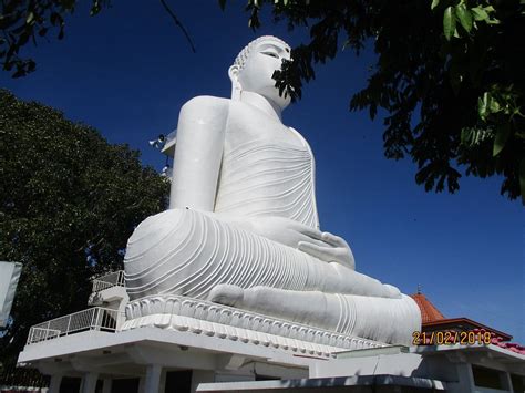 THE 10 BEST Things to Do in Kandy (2025) - Must-See Attractions