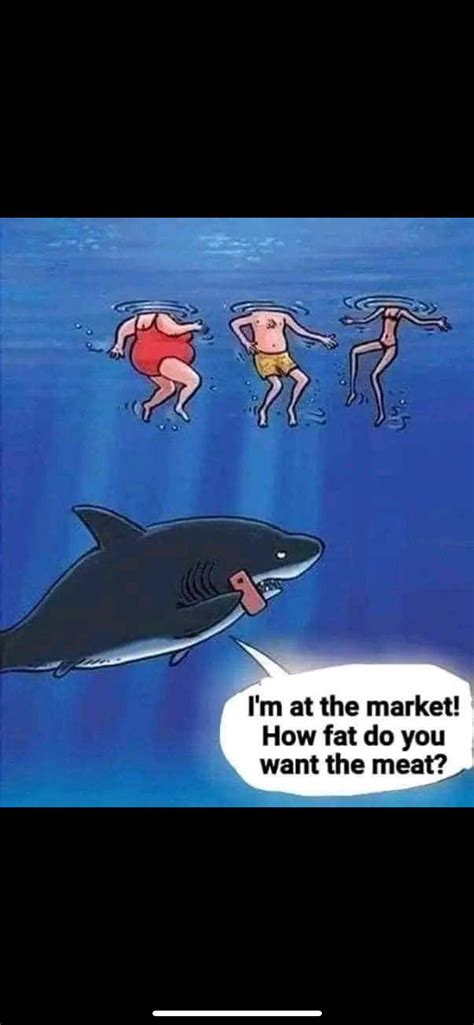 Shark shopping : r/goodboomerhumor
