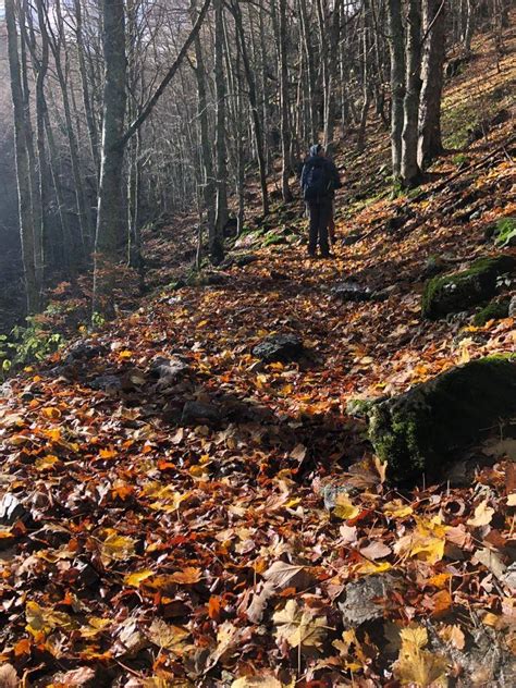 L Incanto Del Foliage Nel Parco Nazionale Di Abruzzo E Molise La