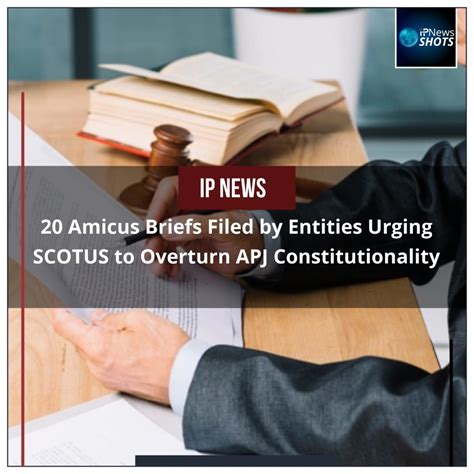 20 Amicus Briefs Filed By Entities Urging Scotus To Overturn Apj