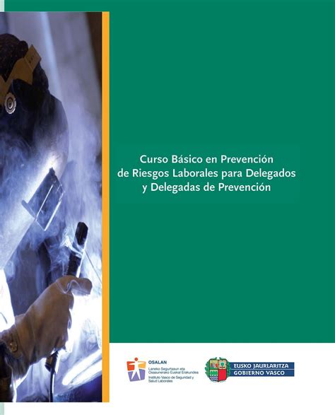 Curso B Sico En Prevenci N De Riesgos Laborales Para Delegados Y