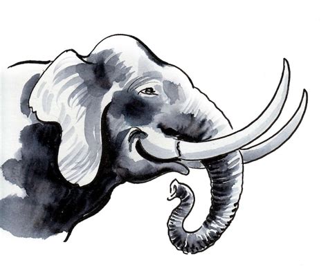 Cabeza De Elefante Dibujo A Tinta Y Acuarela Foto Premium