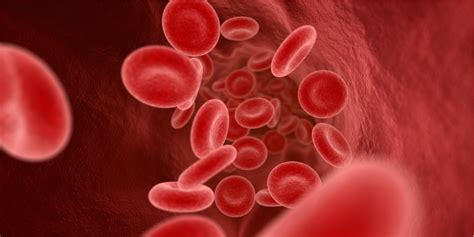 Anemia Causas Sintomas E Diagn Stico Aqualab