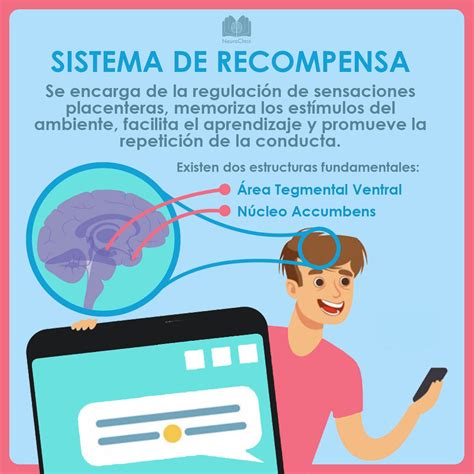 Sistema De Recompensa Cerebral C Mo Funcionan Las Adicciones Neuroclass