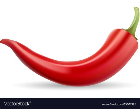 Red Hot Natural Chili Pepper Pod Realistic Image Vector Image