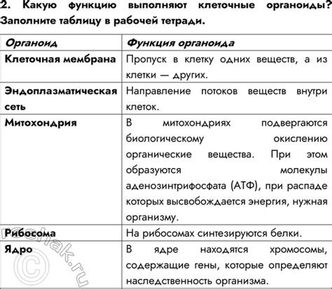 (Решено)Задание 2 Параграф 4 ГДЗ Драгомилов Маш 8 класс по биологии