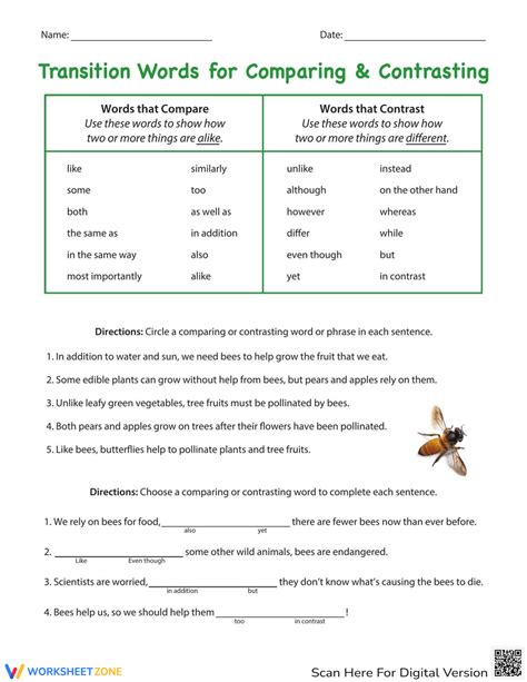 Transition Words For Comparing And Contrasting Worksheet