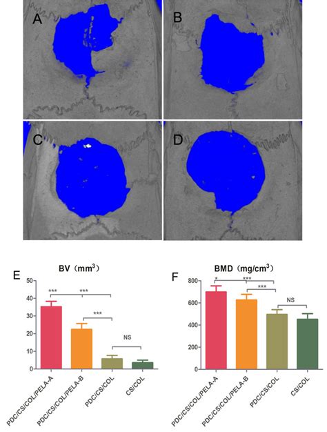 Micro Ct Images Showing The Minerazation In 4 Groups At 12 Weeks Post Download Scientific