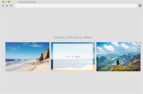 30 Css Image Gallery Examples And Templates 2022