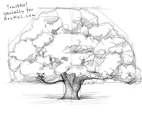 How To Draw An Oak Tree Step By Step ARCMEL