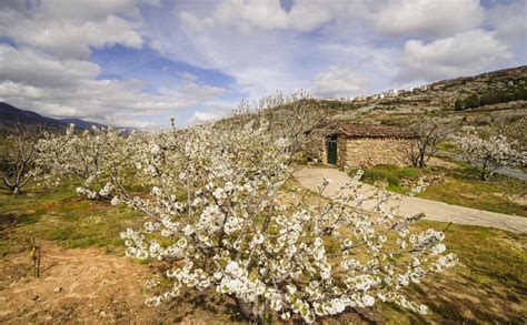 Cu Ndo Es La Mejor Poca Para Visitar El Valle Del Jerte Bekia Viajes