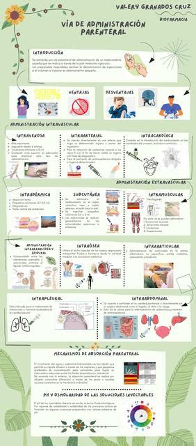 V A De Administraci N Parenteral Vale Granados Udocz