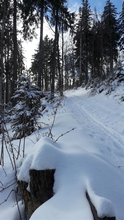 Belchen M Aktuelle Verh Ltnisse Vom Auf Der Route