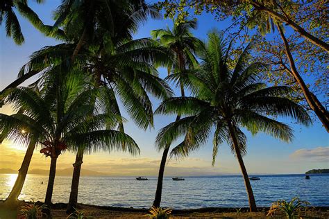 Garden Island Resort Taveuni Fiji Photograph By Douglas Peebles