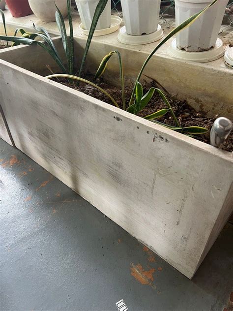 Concrete planter box, Furniture & Home Living, Gardening, Pots & Planters on Carousell