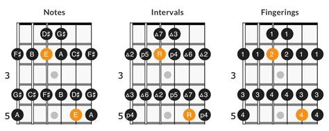 E Major Scale on Guitar: Positions & Theory