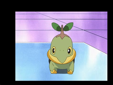 Turtwig by Tatsunokoisthebest on DeviantArt