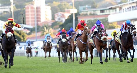 Gold Cup Double - Now Open | Sporting Post