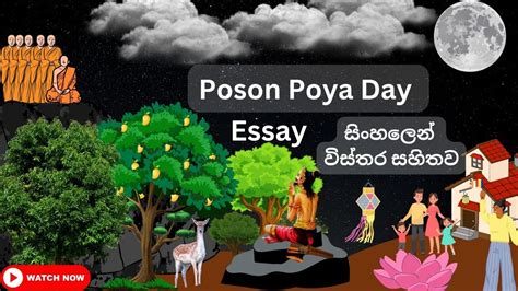 My English Teacher W I Episode Poson Poya Day Essay Youtube