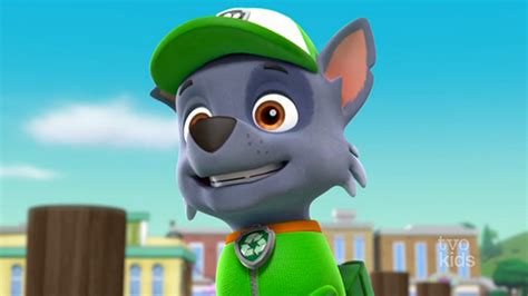 Image Paw Patrol 318b Scene 3 Rockypng Paw Patrol Wiki Fandom