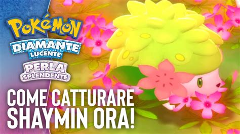 Come catturare SHAYMIN in Pokémon Diamante Lucente e Perla Splendente