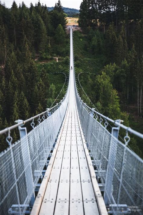 hanging rope bridge - Top Spots for this Photo Theme