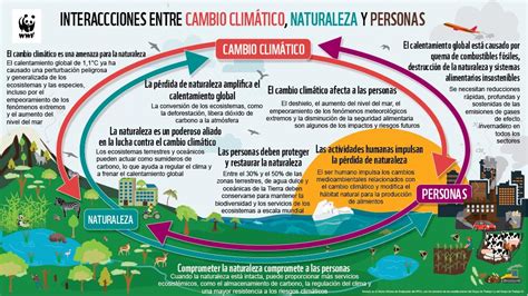 Nuevo Informe La Aliada Secreta Del Clima Descubriendo La Historia De