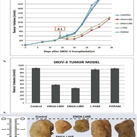 A In Vivo Growth Inhibition Of The Skov 3 Human Ovarian Download