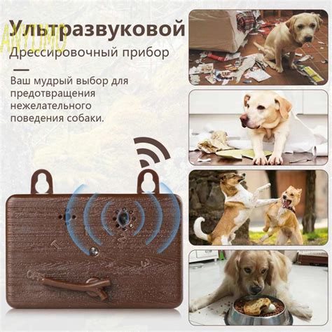 Стационарный ультразвуковой антилай для собак , на аккумуляторной ...