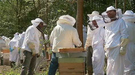 A l Albenc en Isère les stages d initiation à l apiculture affichent