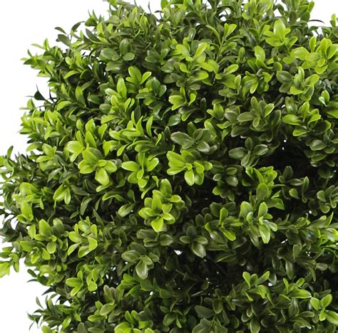 Cm Boxwood Artificial Topiary Buxus Ball Tree Extra Wide Cm