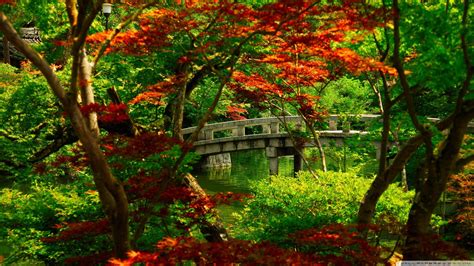 Japan Landscape Wallpapers - Top Free Japan Landscape Backgrounds ...