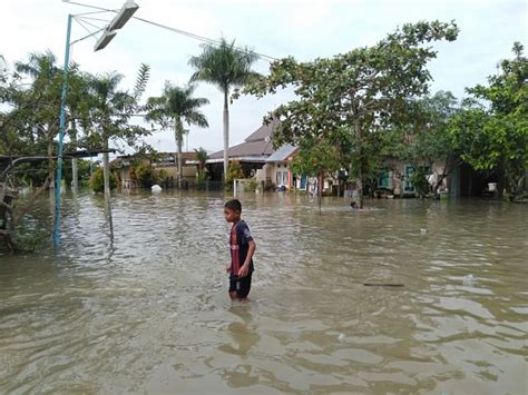 Diguyur Hujan Semalaman Ribuan Rumah Di Pekanbaru Terendam Banjir