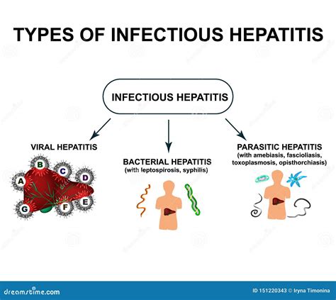 Tipos De Hepatitis Viral Hepatitis A B C D E F G D A De La