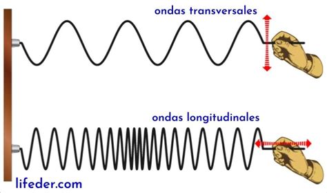 Onda Transversal Qu Es Concepto Caracter Sticas Ejemplos