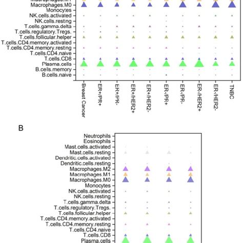 Distribution Of Immune Cell Type Frequencies In Breast Cancer Of Download Scientific Diagram