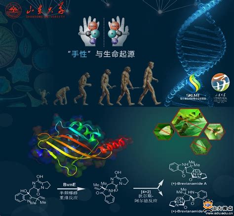 微生物技术国家重点实验室科研成果亮相国家“十三五”科技创新成就展 山东大学新闻网