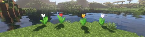 How To Find All Flowers In Minecraft 120 Badlion Client