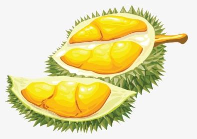 isi buah durian clip art hitam putih - RicardotaroFitzpatrick