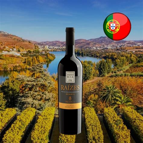 Pacheca Raízes Tinto Reserva Douro DOC 2021 Vinho tinto português