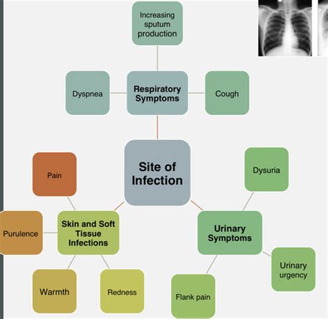 Principles Of Empiric Antimicrobial Therapy Flashcards Quizlet