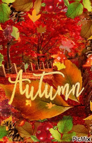 Colorful Falling Leaves - Autumn Gif Pictures, Photos, and Images for ...